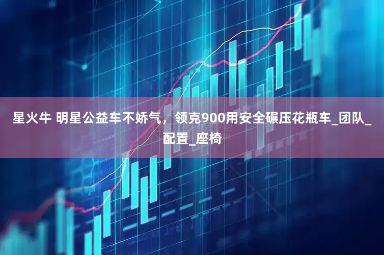 星火牛 明星公益车不娇气，领克900用安全碾压花瓶车_团队_配置_座椅