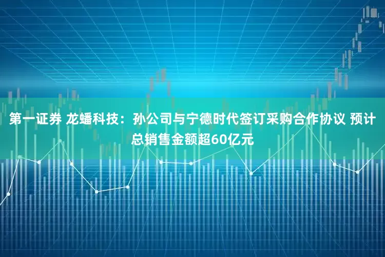 第一证券 龙蟠科技：孙公司与宁德时代签订采购合作协议 预计总销售金额超60亿元