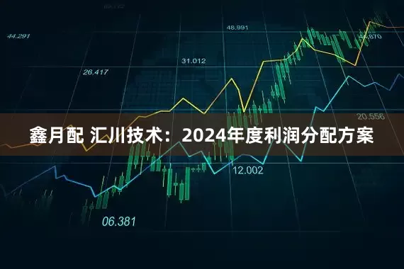 鑫月配 汇川技术：2024年度利润分配方案